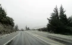 Copy of IMG_1687v.webp