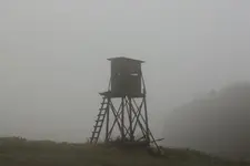 Hochstand Nebel.webp