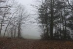 Nebel 2.jpg