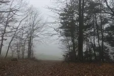Nebel 2.webp