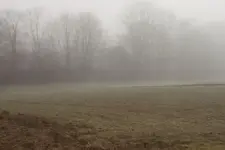 Nebelobergrenze 23.11. schönherrn.webp