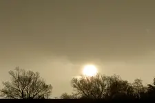 September 2010 237v.webp