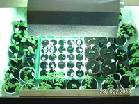 Growbox vorher vorne.webp