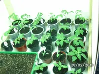 Growschrank links.webp