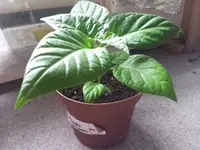 20130228_175027.webp