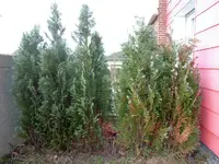 loc-image011.webp