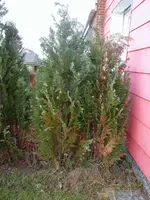 loc-image012.webp