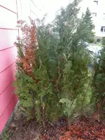 loc-image016.webp