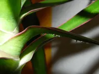 DSCN7998.webp