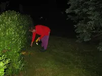 Auf Schneckenjagd.webp