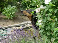 DSC05034.webp