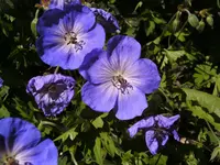 BILD0023.webp