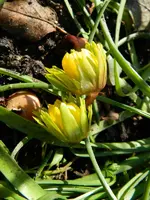 DSCN8712.webp