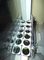 DSCF3419.webp