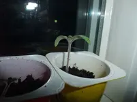 DSCF3421.webp