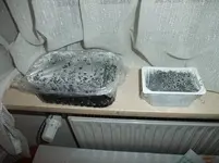 DSCF3424.webp
