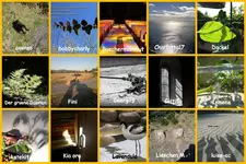 Copy of Februar 2013 v.webp