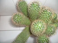 SAM_0861.webp