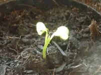 P1110218.webp