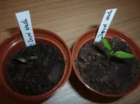P1110219.webp