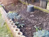 Um die Magnolie.04.03.2013.webp