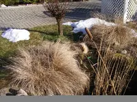 Der letzte Schnee.04.03.2013.webp