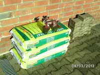 2  Begonien.webp