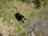 avenso Sessellift zum Vigiljoch.webp