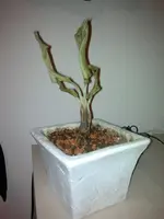 2013-03-04-014.webp