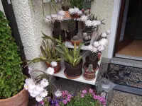 DSCF1407.webp