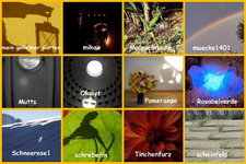 Copy of Februar 2013 2 v.webp