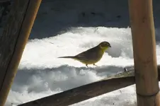 2013_0304Winter0003.webp