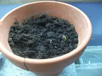 DSCF2816.webp