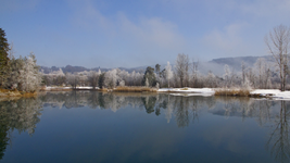 IMG_6254.webp
