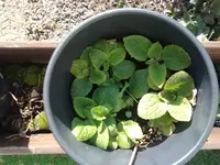 05032013910.webp