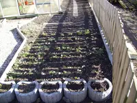 100_0852.webp 100_0852.webp