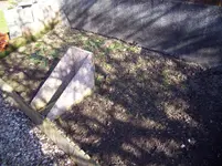 100_0855.webp 100_0855.webp