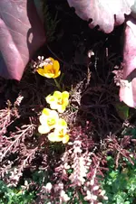 IMAG0088.webp
