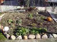 100_0867.webp 100_0867.webp