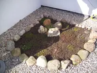 100_0884.webp 100_0884.webp