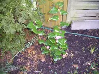 100_0880.webp 100_0880.webp