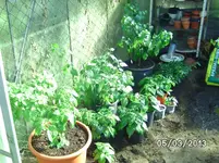 GWH links.webp