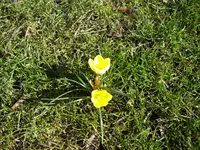 100_0865.webp 100_0865.webp