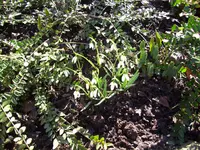 100_0871.webp 100_0871.webp