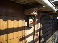 100_0874.webp 100_0874.webp