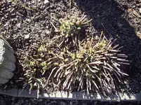 100_0875.webp 100_0875.webp