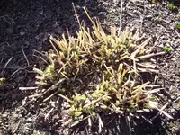 100_0876.webp 100_0876.webp