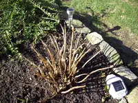 100_0879.webp 100_0879.webp