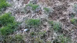 IMAG0152 - Kopie.webp
