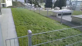 IMAG0154 - Kopie.webp